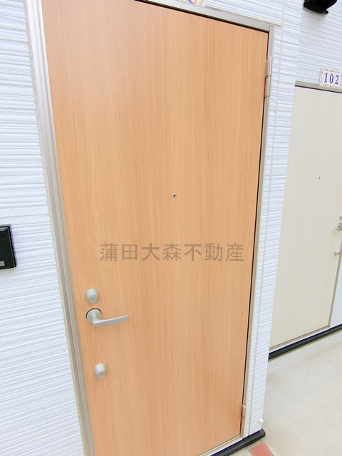 ソルナクレイシア大森Ⅱの玄関