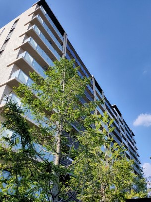 ザ・パークハウスオイコス赤羽志茂フォーススクエア