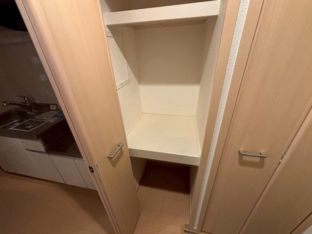 フィオレンティーナの収納