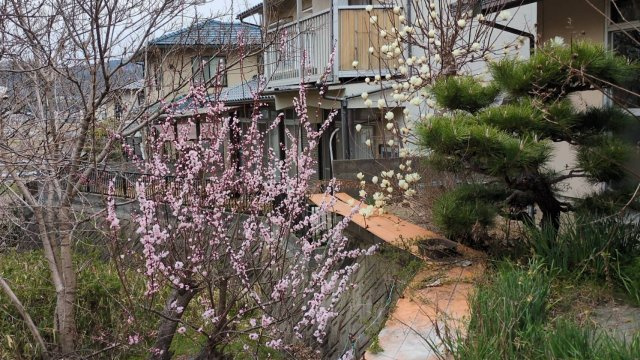 岡山市北区今岡 土地の展望|◆建物から眺める南側の景色です。