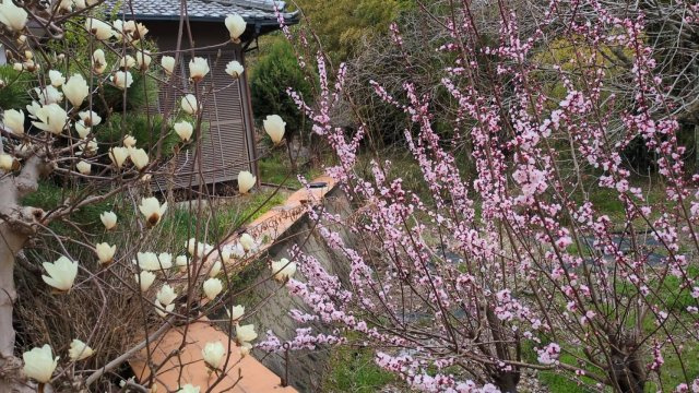 岡山市北区今岡 土地の展望|◆建物から眺める南側の景色です。