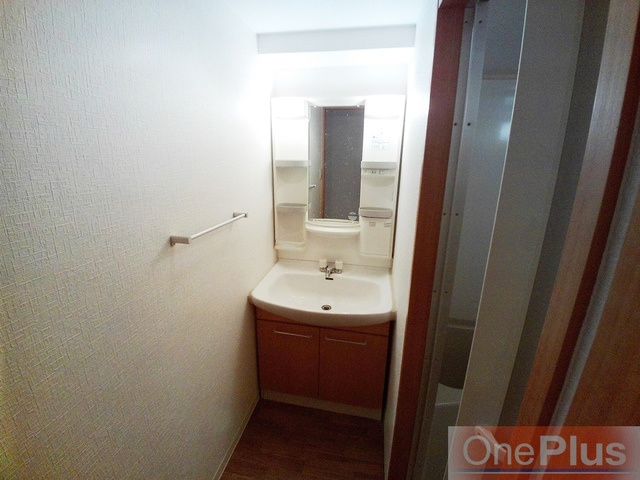 甲南タマタニマンションの洗面所