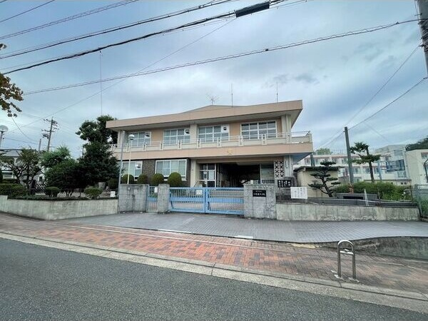 花みずきの周辺