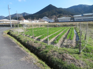 【その他】 | 農地は４４８坪あります