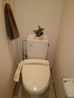 武蔵野市関前４丁目の賃貸マンションのトイレ