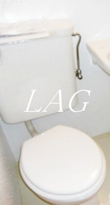 【トイレ】 | ライオンズ三田 | トイレです。