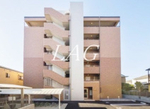 ステーラ・ルーチェの画像