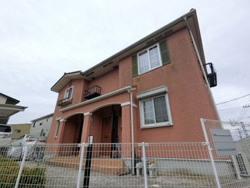 ヴァン ヴァレの画像