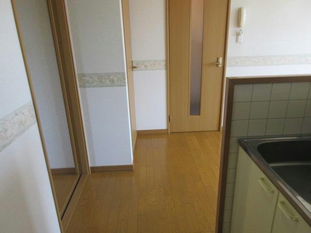 APIAⅡ・Ⅲのキッチン