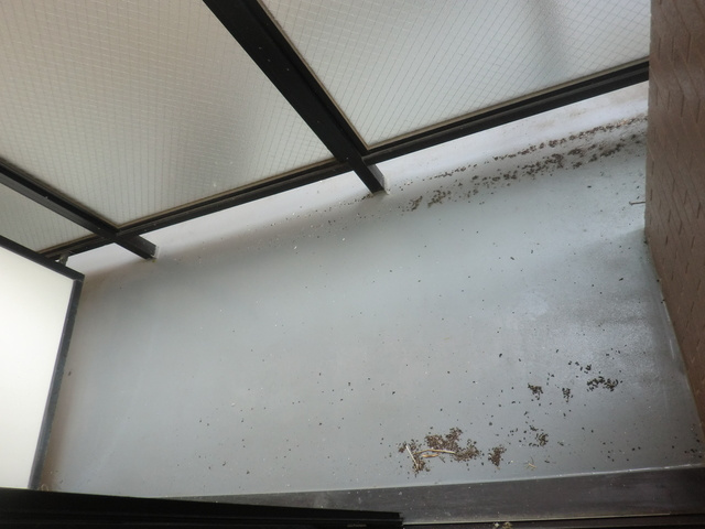 グランディオール白楽のバルコニー