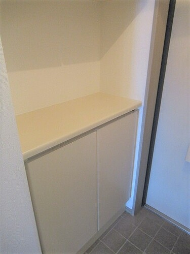 エス・バイ・エルマンション越谷の収納|下足入　※前回募集時2020年10月写真