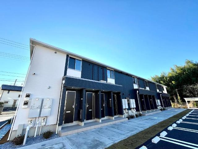 ＧＲＥＥＮ　ＳＯＲＲＥＬ　Ⅰ(グリーン　ソレル　ワン)