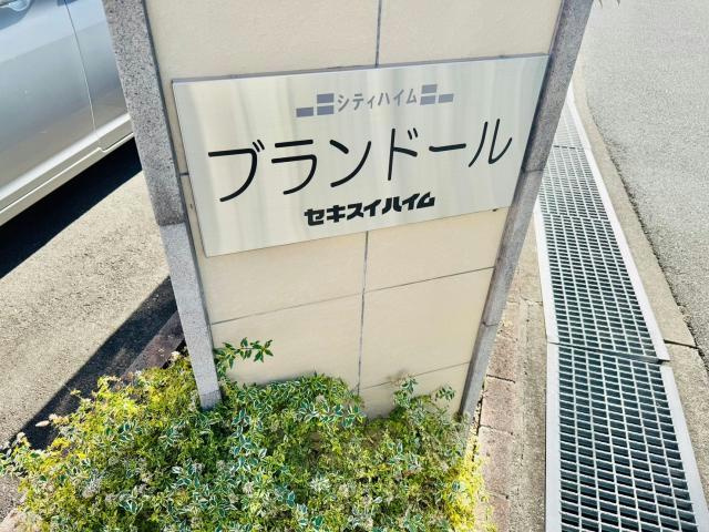ブランドールのその他