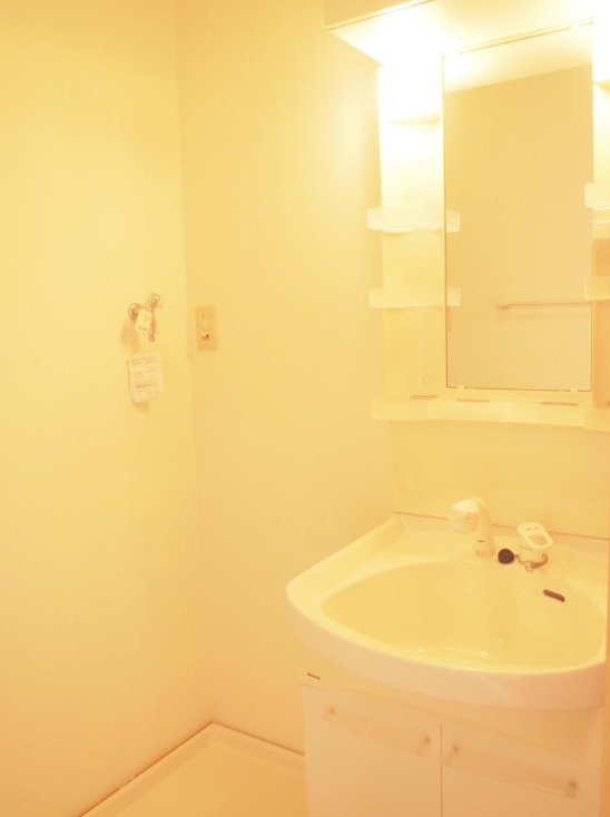 グランドゥール飾東の洗面所