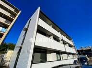 ＮｏｖｅｌＹｏｋｏｈａｍａＳｕｇｅｔａの画像