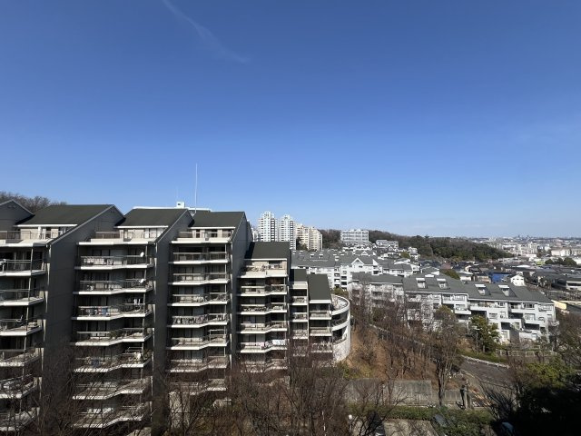 見晴らしたい？見晴らせられたい？そんな『みはらしの家C棟』リノベーションマンションは、とにかく広い！１００人住んでも大丈夫級！大型犬、イケます！の展望