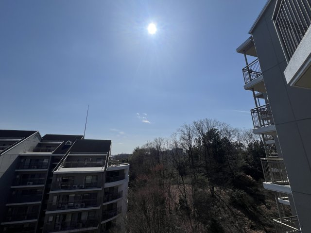 見晴らしたい？見晴らせられたい？そんな『みはらしの家C棟』リノベーションマンションは、とにかく広い！１００人住んでも大丈夫級！大型犬、イケます！の展望