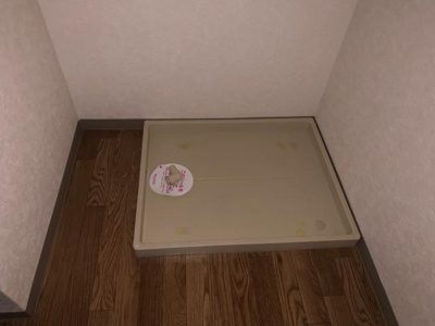 【その他】 | プラシード | その他