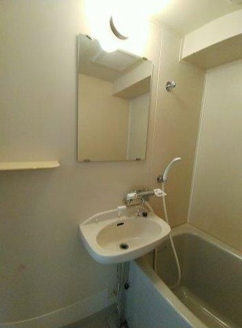 リトルブラウンの洗面所