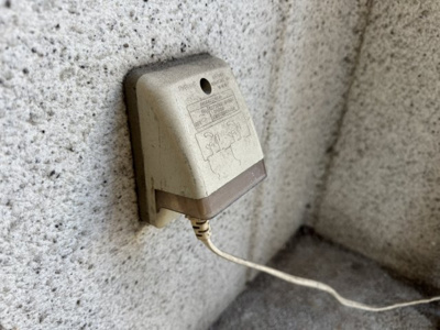 【その他】 | フキ三宮