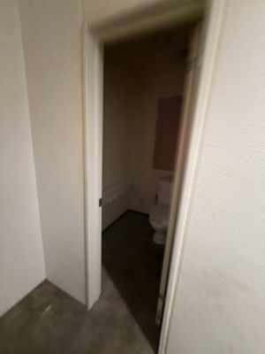 【その他】 | フキ三宮