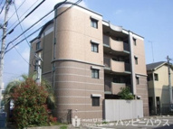 ブティア・ドゥの画像