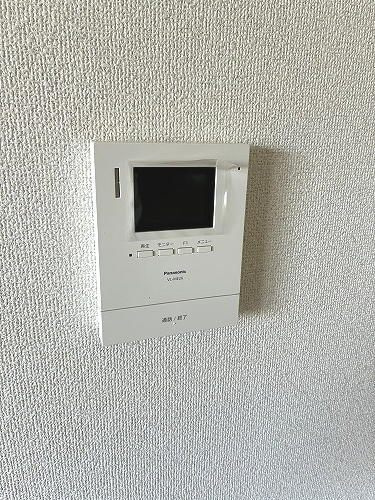 スルースM.Aのその他