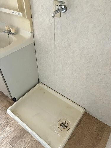 スルースM.Aのその他