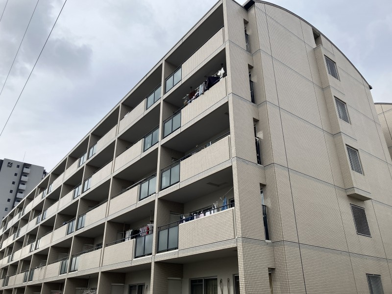 コートロイヤルの画像