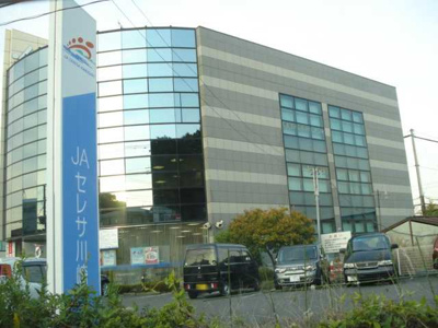 【周辺】 | サンベルグ千年 | JAセレサ川崎橘支店まで749ｍ