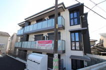 ストーントニアの画像