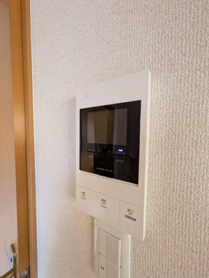 TVモニターホン付きドアホン