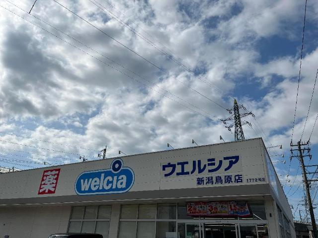 ウェル　ビーイングの周辺|ウエルシア　新潟鳥原店まで3,100ｍ