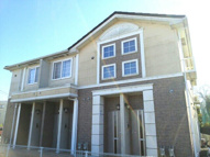 ネオ　ブラウンの画像