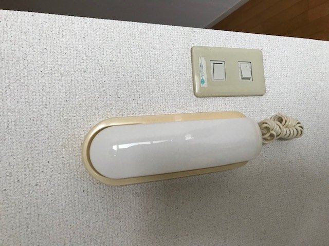 レオパレスアルシオネのその他