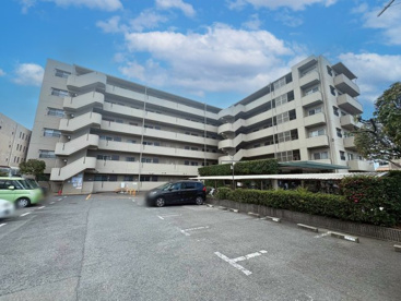 ルネ藤の森の画像