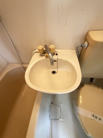 ルーブル西灘の洗面所