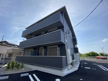 AALII（アアリイ）　Ⅲの画像