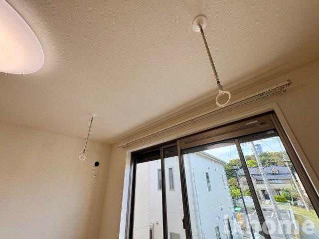 マンダリーヌのその他