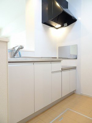 カーサグランデⅢのキッチン