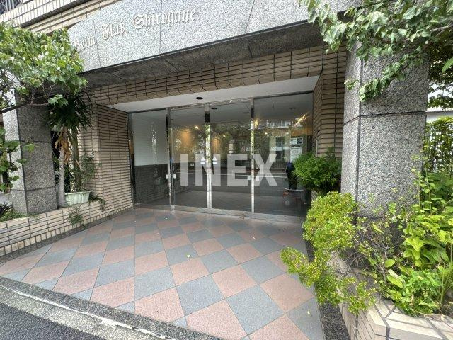 横浜市南区白金町１丁目の賃貸マンションのエントランス