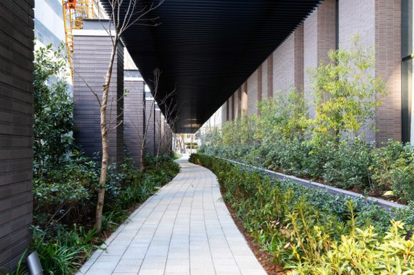 【その他】 | 【その他】1階部分、建物外部です。都心とは思えない、豊かな緑の潤いが癒しを届けてくれます♪