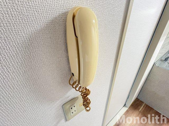 ヴィリジアンガーデンのセキュリティ