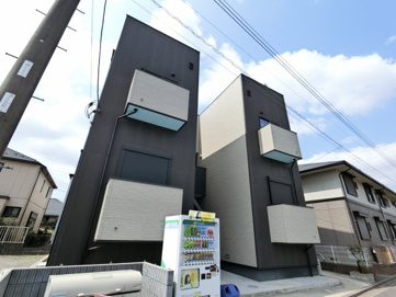 Consolatoriaの画像