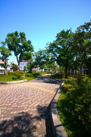 つつじ公園まで240m