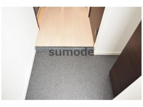 ラフィーエ高槻の玄関