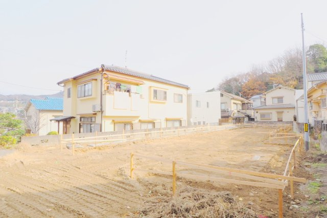 ホールケーキアイランド