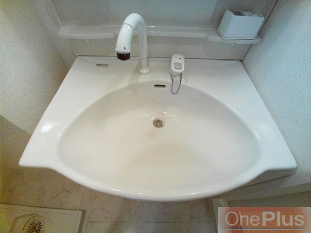 リブェール天城の洗面所