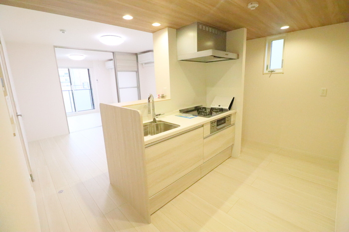 D Paina 登戸Ⅱのキッチン