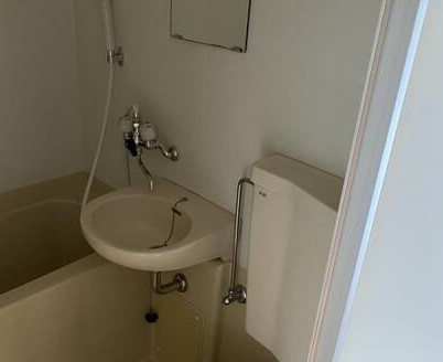 相模原市中央区相模原７丁目の賃貸マンションの洗面所